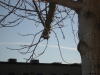 Camarillo, CA - Jan 18th, 2012
