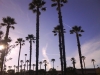 Oxnard, CA - Jan 29th, 2012