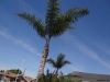 Orange County, CA - Apr 2nd, 2012