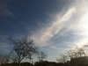 Orange, CA - Jan 8th 2012