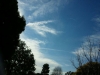 Long Beach, CA - Jan 24th, 2012