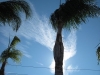 Orange County CA - Dec 16th 2011