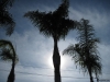 Orange County CA - Jan 3rd 2012