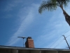 Orange County CA - Jan 3rd 2012