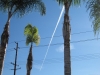 Orange County, CA - Jan 10th 2012