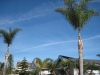 Orange County, CA - Jan 10th 2012