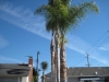 Orange County, CA - Jan 10th 2012