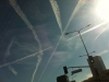 Los Angeles County CA - Nov 17th 2011