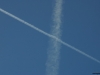 Ventura, CA - Jan 2nd 2012