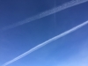 Fallon nv i80 right now