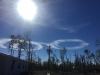 December 18 2018/11:25am Panama City, Florida